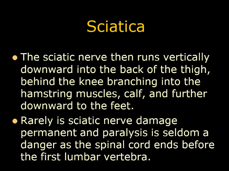 Sciatica The sciatic nerve then runs vertically downward into the back of the thigh,
